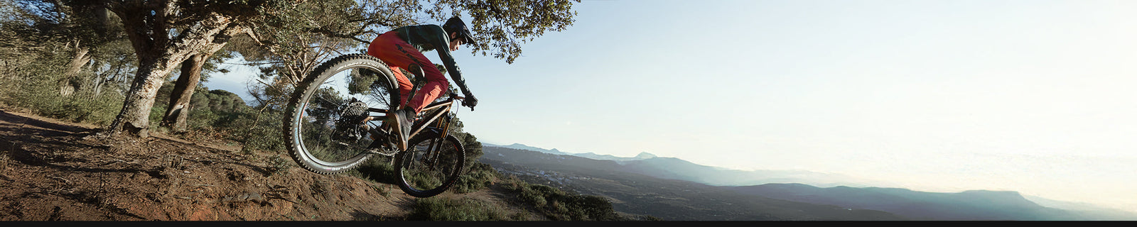 Marques | ALPINESTARS