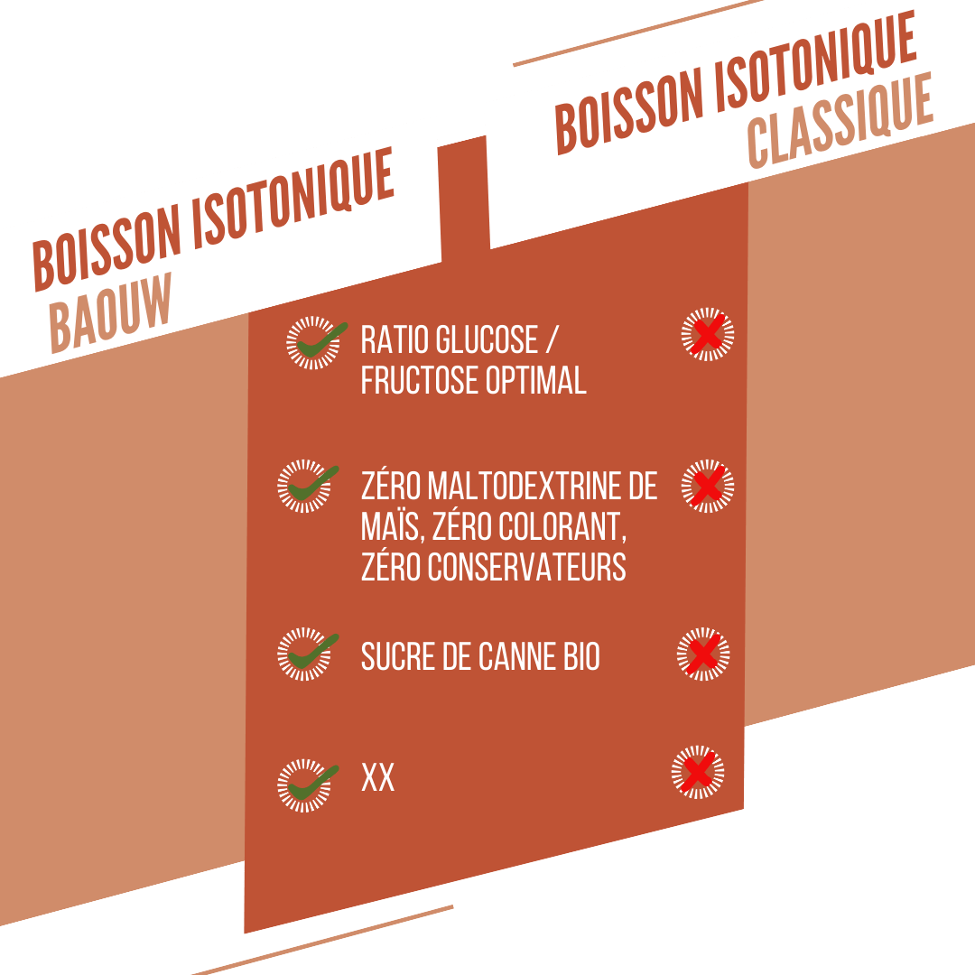 BAOUW ISOTONIC Energiedrank (585g) Perzik Rozemarijn