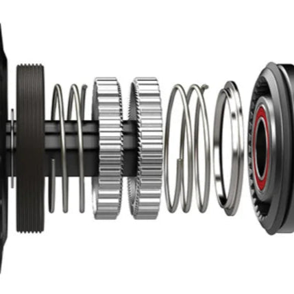 Roue Arrière DT SWISS EXC 1200 CLASSIC 30 mm 29" 12x148 mm Boost