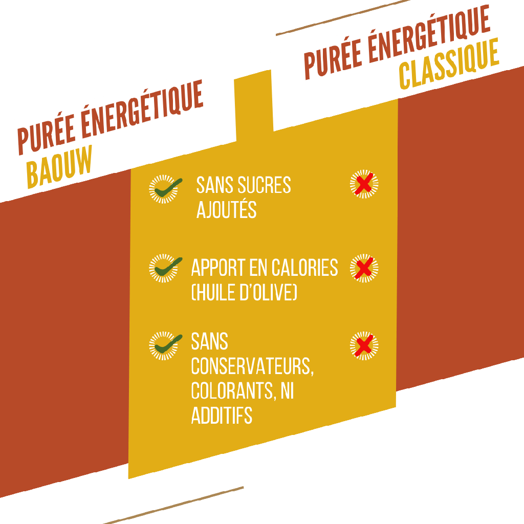 Purée Energétique BAOUW Bio Recette Mangue/Passion/Gingembre (90g)