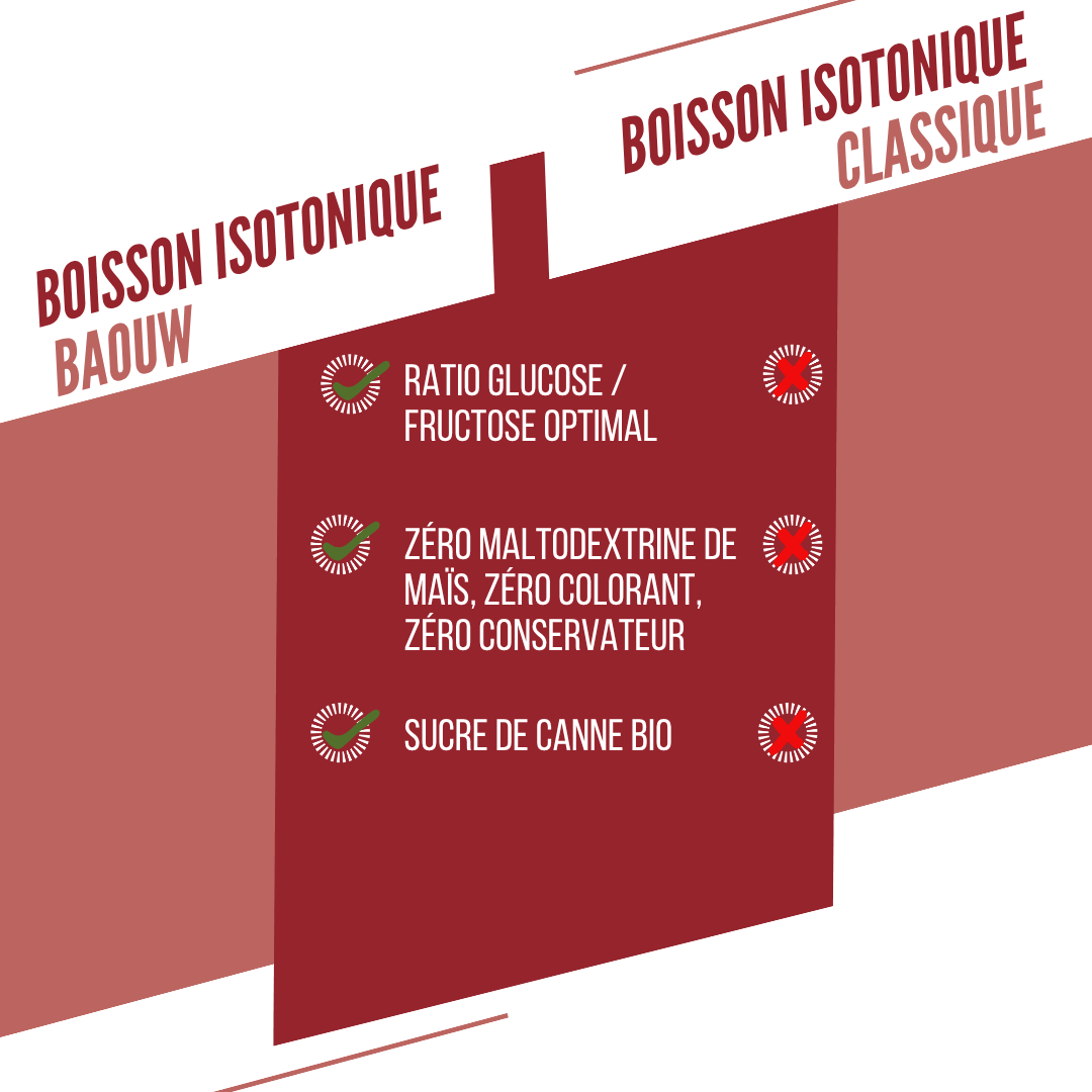 BAOUW ISOTONIC Energiedrank (45g) Watermeloen/Pomegranaat
