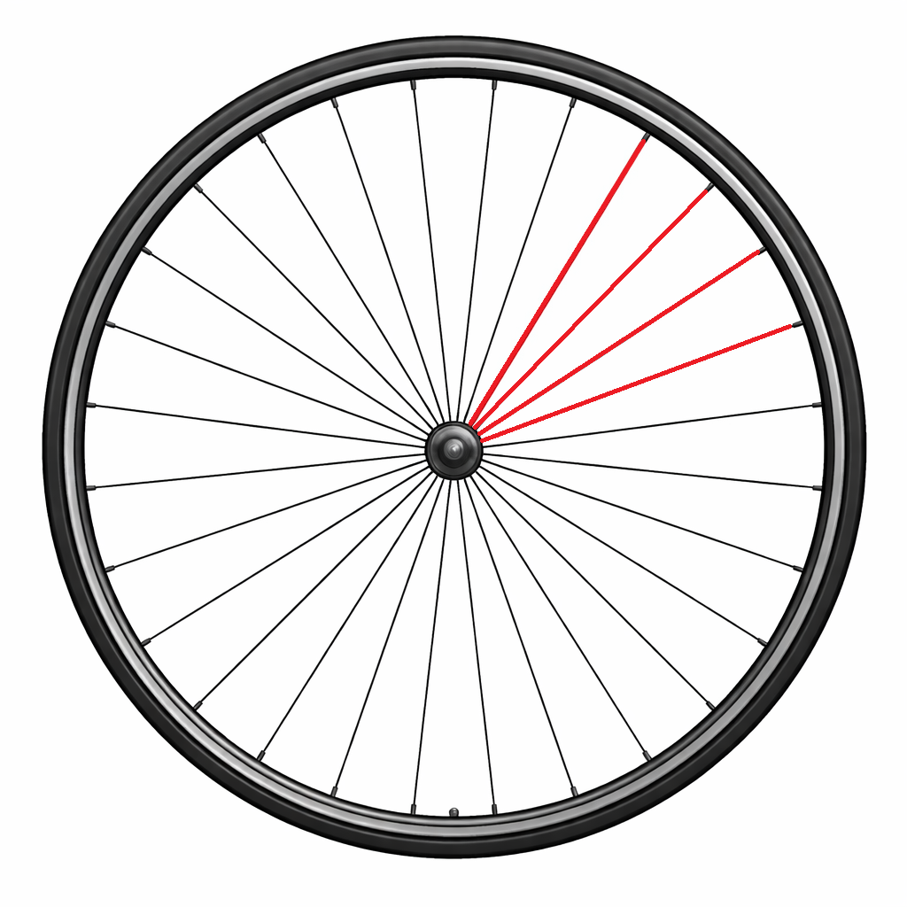 Kit de 4 Rayons CAMPAGNOLO ZONDA à Pneus 2017 Arrière Droit