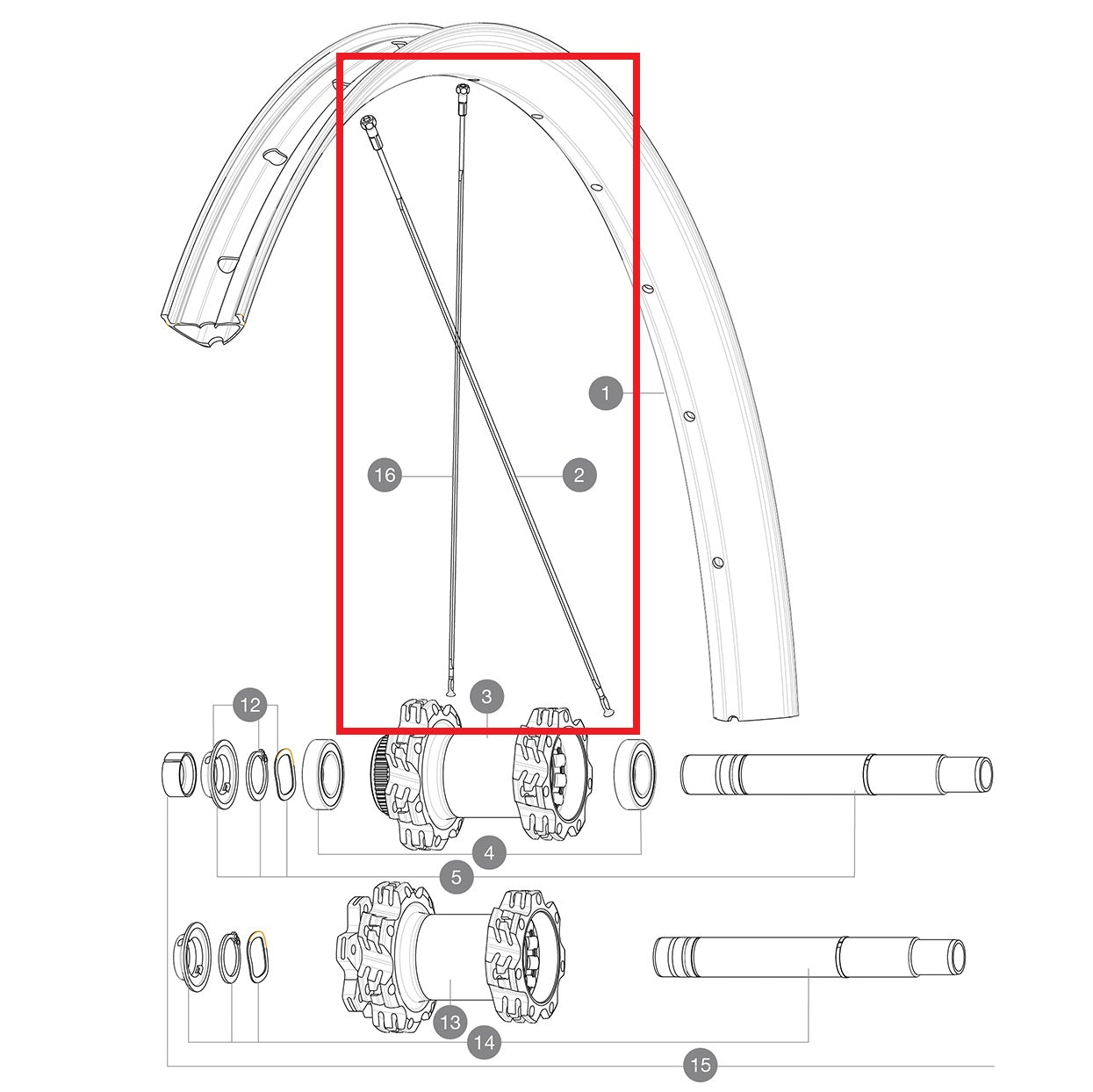 KIT 14 ACHTER NIET-AANGEDREVEN EDEEMAX 29'' FLAT SPOKE 305 + NIPPEL