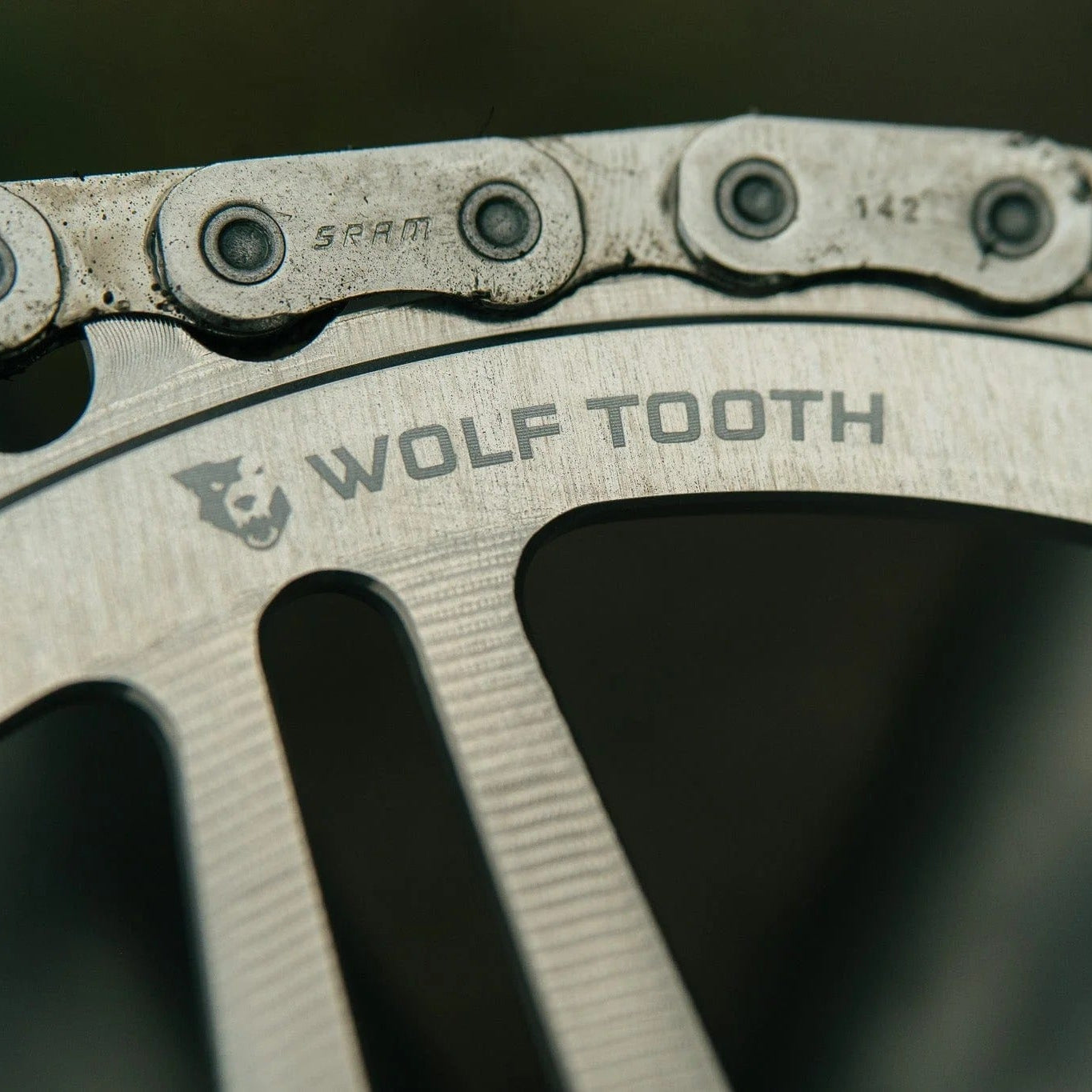 WOLF TOOTH GRAVEL Direct Montage SRAM 8 Gats Ruw Zilver Mono Kettingblad