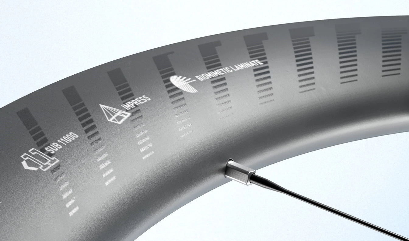 Roue Arrière ZIPP 202 NSW A1