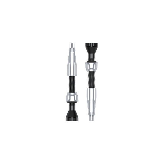 Set van 2 LEZYNE CNC tubeless ventielen 44 mm zilver