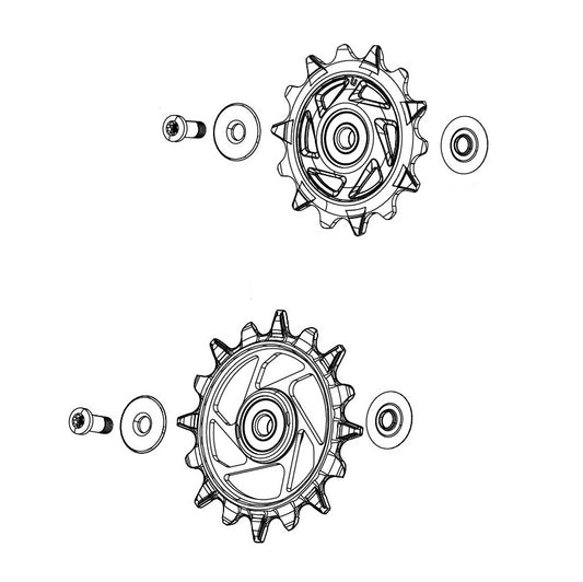 SRAM XX-SL T-TYPE EAGLE AXS / RED XPLR E1 12 speed achterderailleurkooien