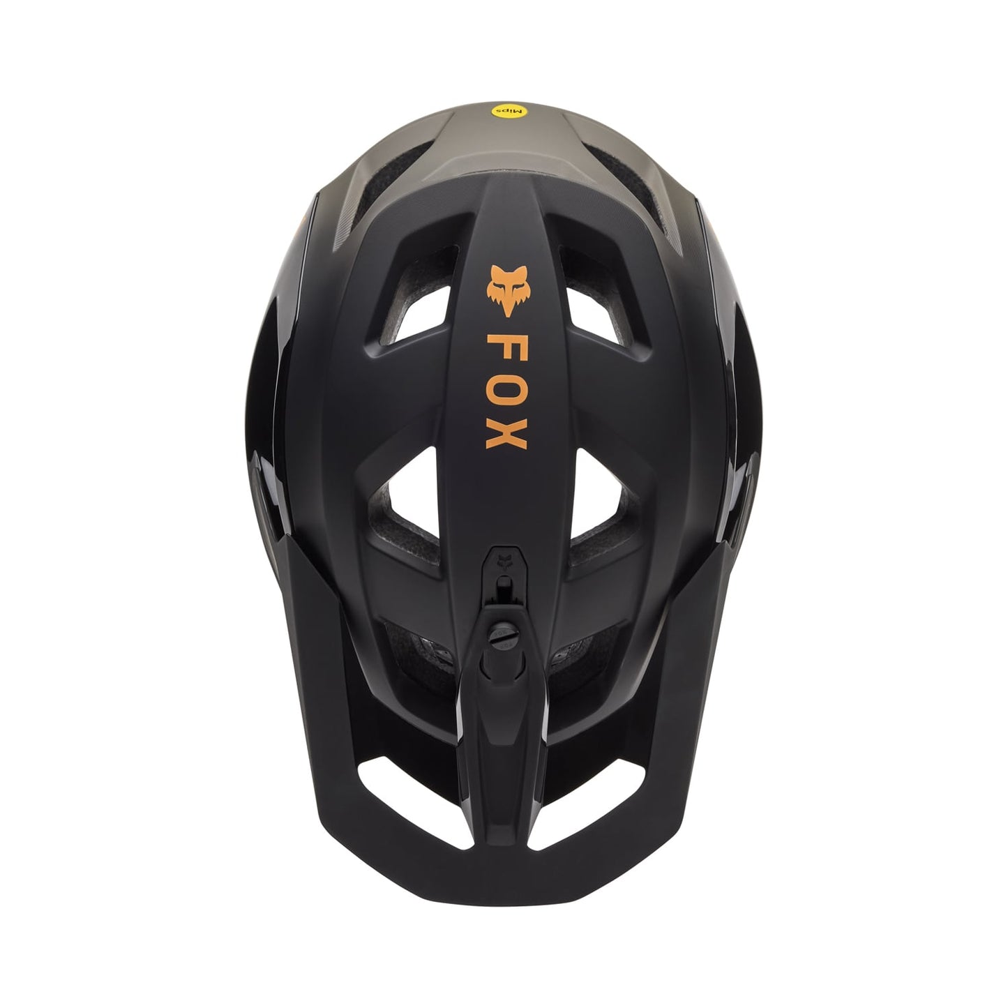 Casque VTT FOX SPEEDFRAME PRO BACKFADE MIPS Noir 2025