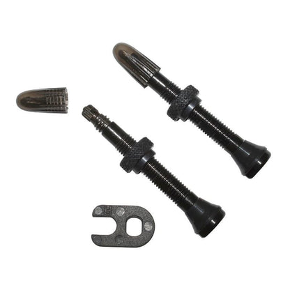 Valves Tubeless SCHWALBE Presta (x2)