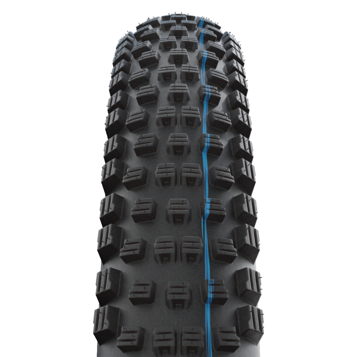 SCHWALBE WICKED WILL 29x2.60 Addix Performance TubeType Soft Zwarte band