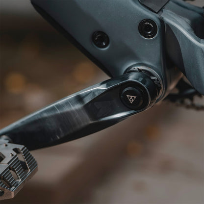 Multitool TOPEAK BB HIDE'N TOOL