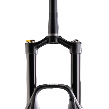 Vork FORMULA SELVA S 29" As 15x110mm Boost Zwart