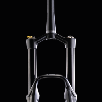 Vork FORMULA SELVA R 29" As 15x110mm Boost Zwart