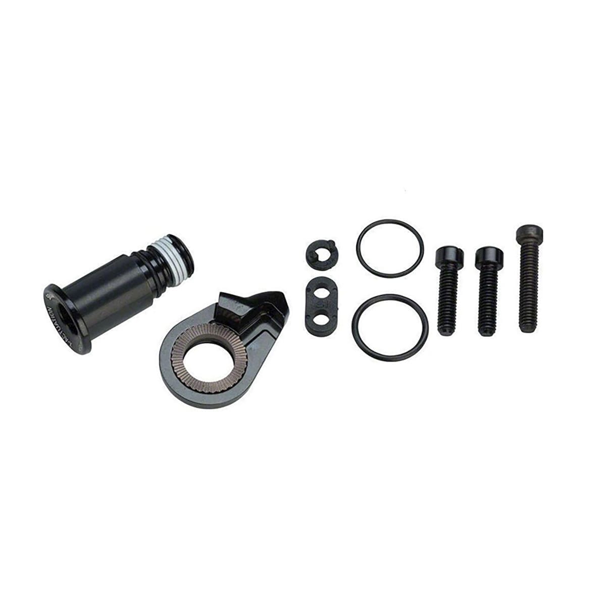 Kit Visserie de Fixation et Butée de Dérailleur Arrière SRAM GX Eagle (52T) #11.7518.098.000