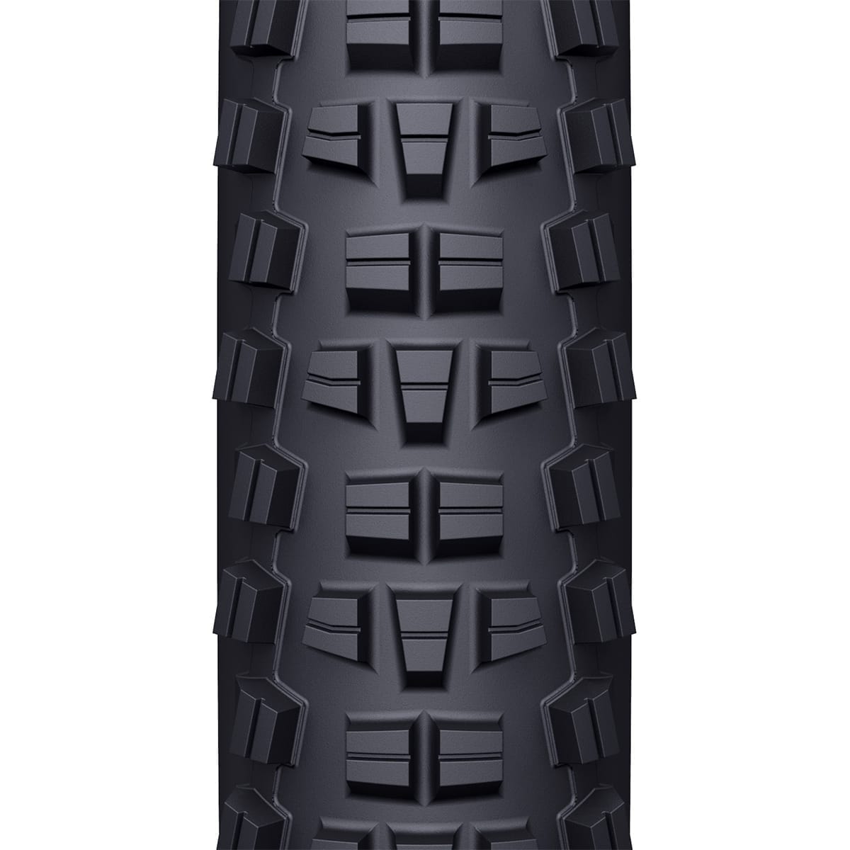 Pneu WTB TRAIL BOSS 29x2,25 TCS Light Tubeless Ready Souple W010-0886