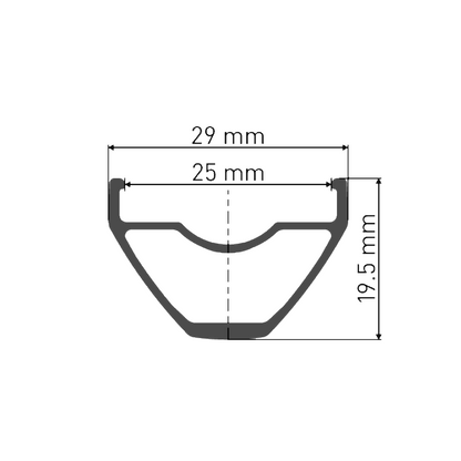 Voorwiel DT SWISS X 1900 SPLINE 25 mm 29" 15x100 mm