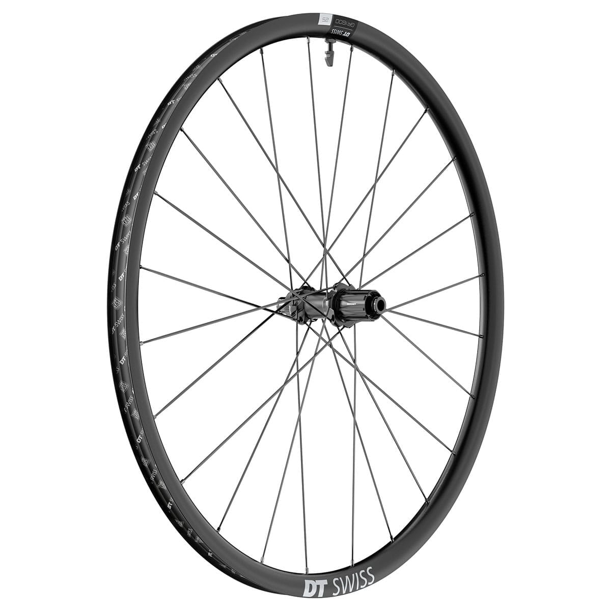 Paar DT SWISS GR 1600 SPLINE 25 DISC Tubeless Ready wielen (Center Lock) Dynamo