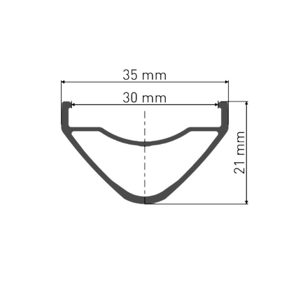 Achterwiel DT SWISS HX 1700 LS SPLINE 30 mm 29" 12x148 mm Boost