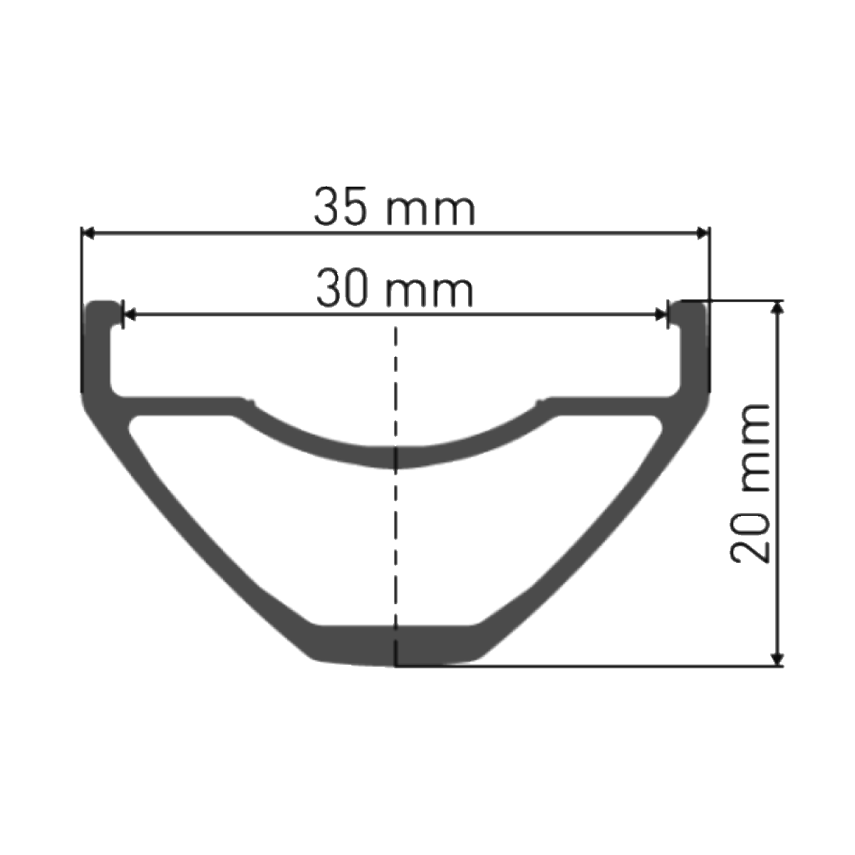 Roue Avant DT SWISS H 1900 SPLINE 30 mm 29" 15x110 mm Boost