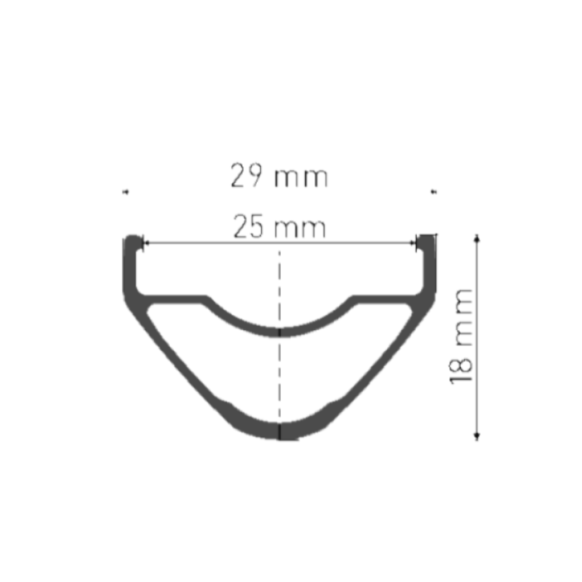 Roue Avant DT SWISS XR 1700 SPLINE 29'' 25 mm 15x110 mm