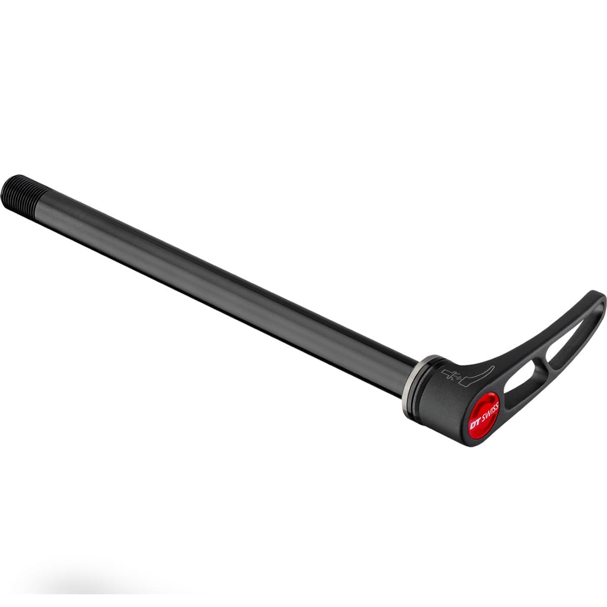 Voorwielasje DT SWISS RWS Plug In 12x100 mm