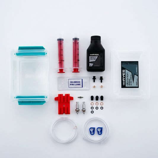 Kit de purge HAYES Dominion #98-40253