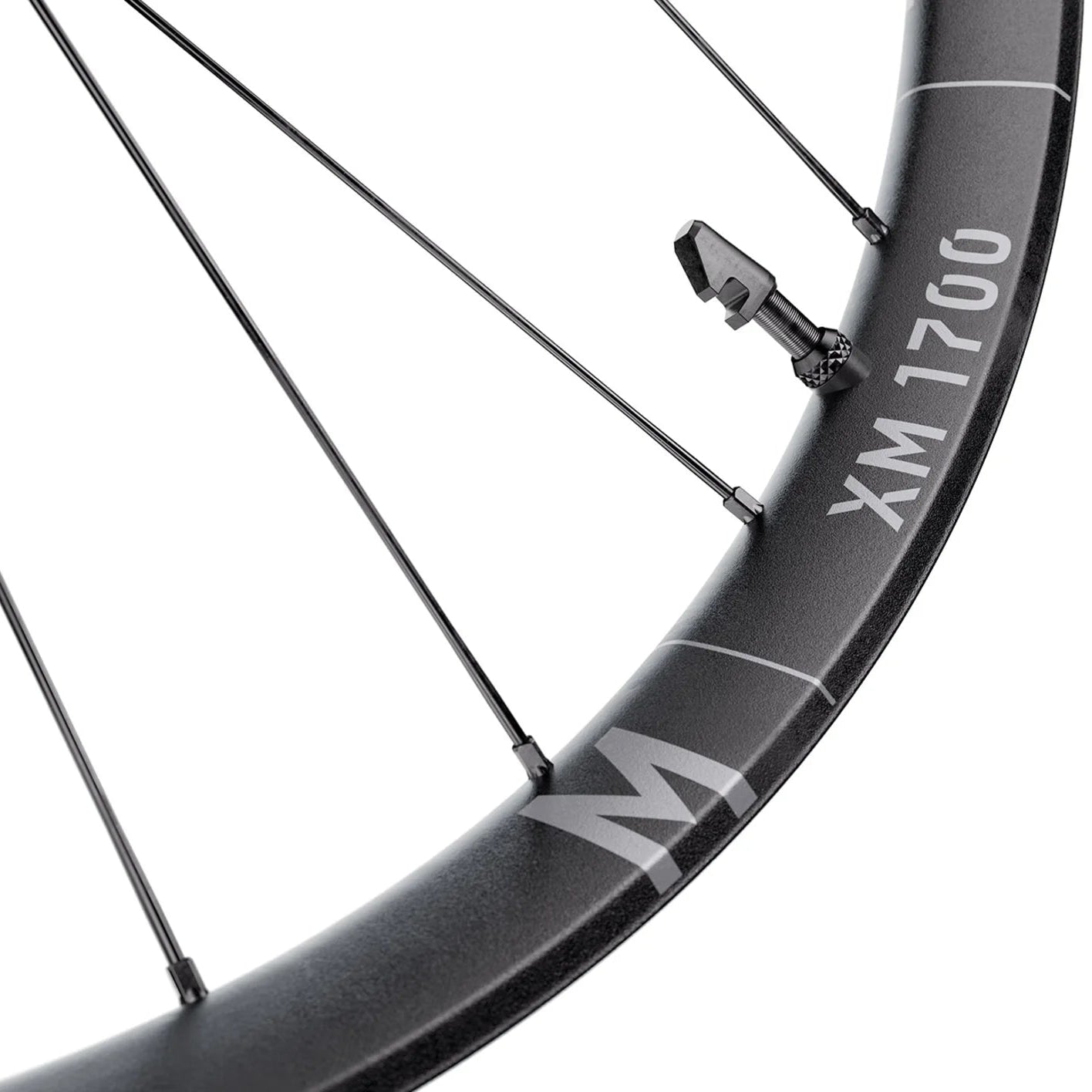 Roue Avant DT SWISS XM 1700 SPLINE 30 mm 29" 15x110 mm Boost 2026