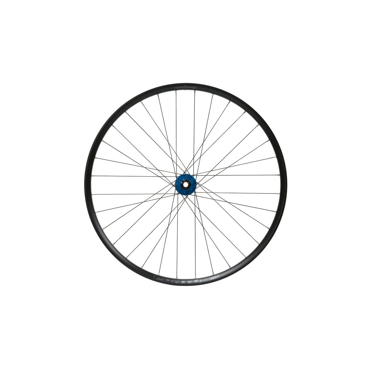 HOPE Fortus 30 W SC 29 inch voorwiel, blauwe Pro 5-naaf