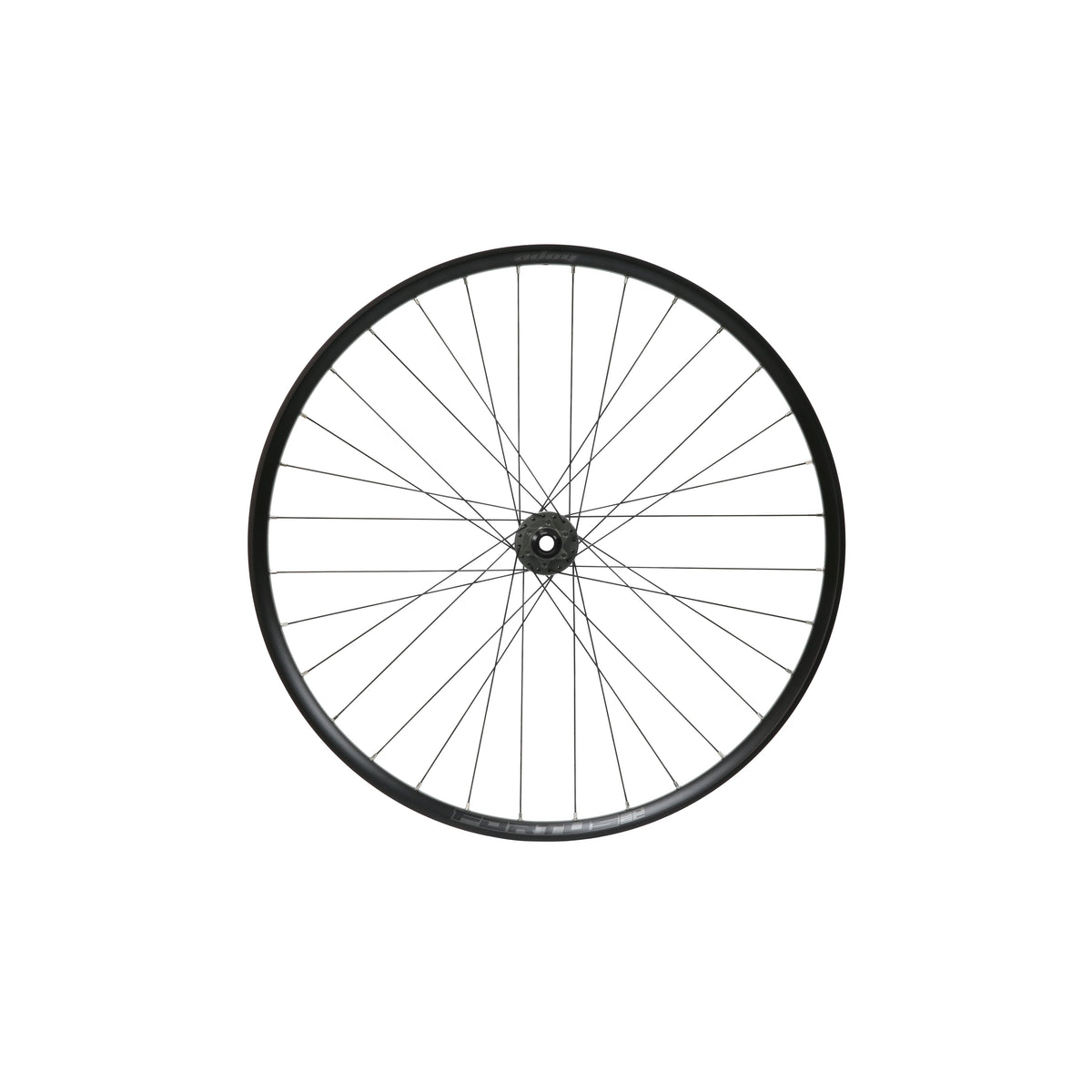 HOPE Fortus 30 W SC 29 inch voorwiel, Pro 5-naaf in Smoke