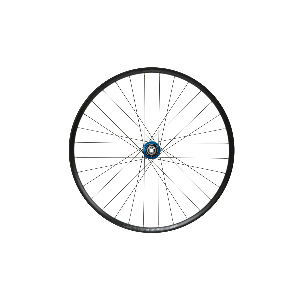 HOPE Fortus 30 W SC 29 inch achterwiel, blauwe Pro 5-naaf