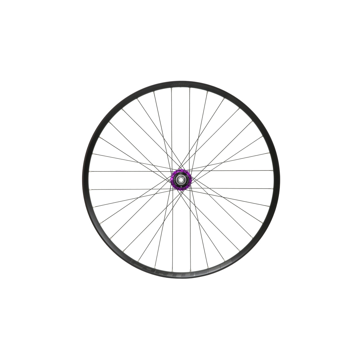 HOPE Fortus 35 W achterwiel van 29 inch, paarse Pro 5-naaf
