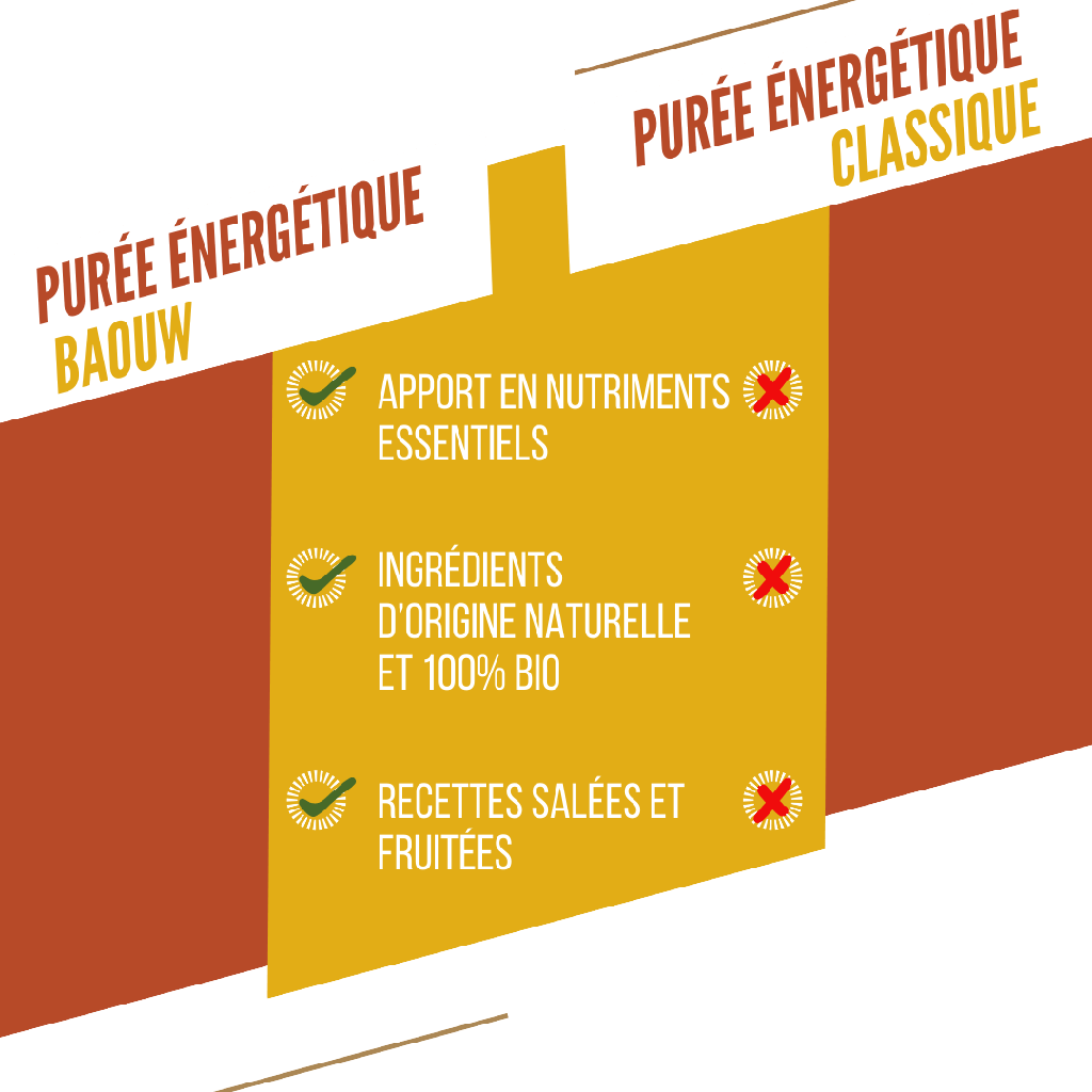 Purée Energétique BAOUW Bio Recette Mangue/Passion/Gingembre (90g)