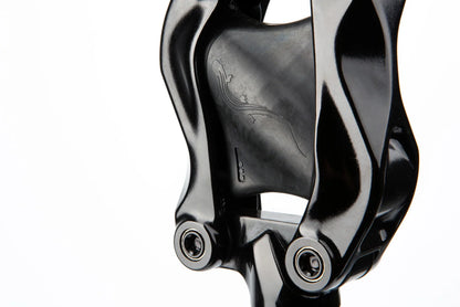 Geveerde Zadelpen CANE CREEK THUDBUSTER G4 LT - SS Clamp 2026