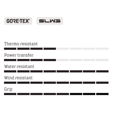 Chaussures VTT HIVER NORTHWAVE CELSIUS XT GTX Noir/Gris