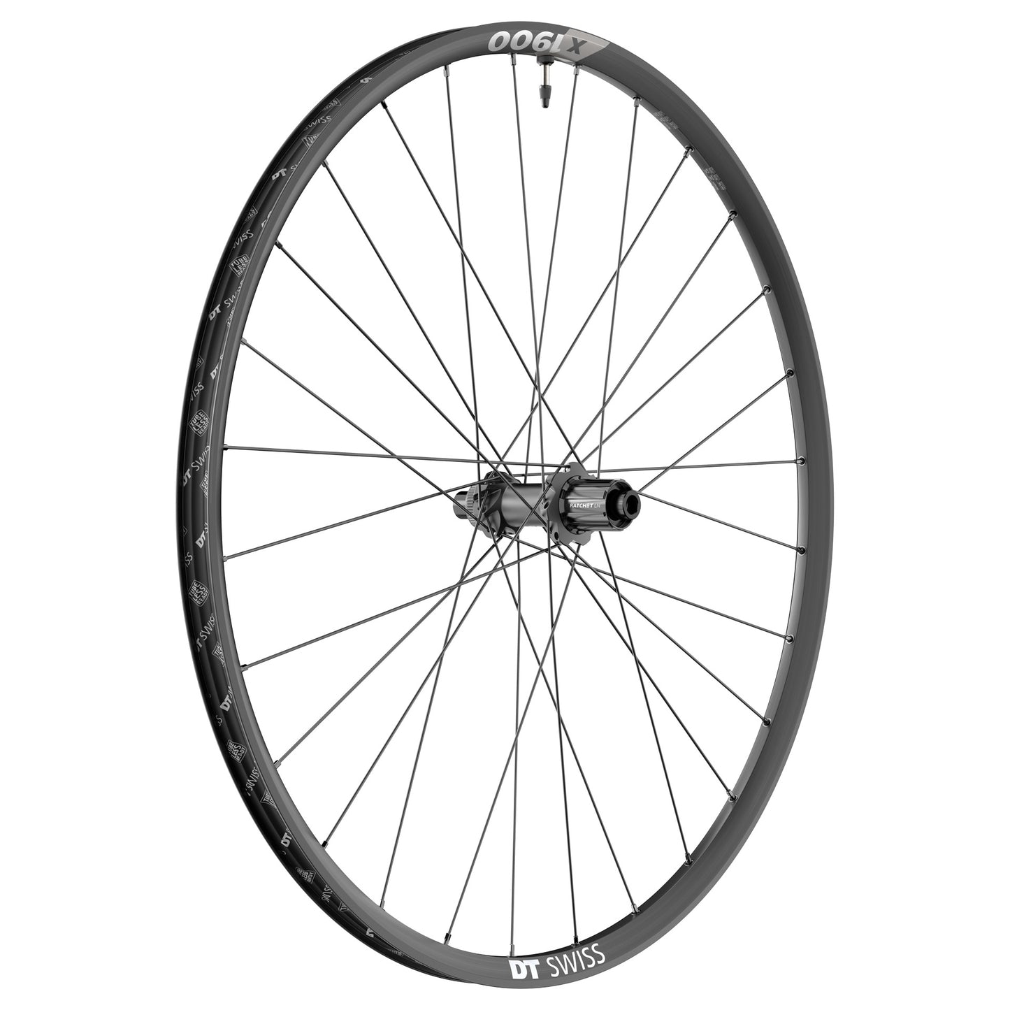 Roue Arrière DT SWISS X 1900 SPLINE 25 mm 29" 12x148 mm