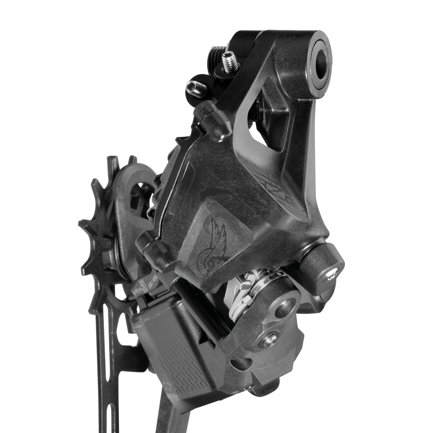 CAMPAGNOLO RECORD X WRL 13 versnellingen achterderailleur