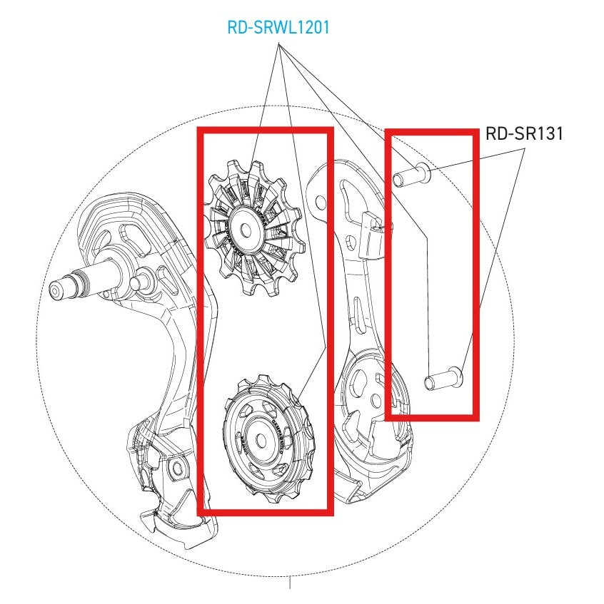 CAMPAGNOLO SUPER-RECORD 12V WRL DISC derailleurnaven
