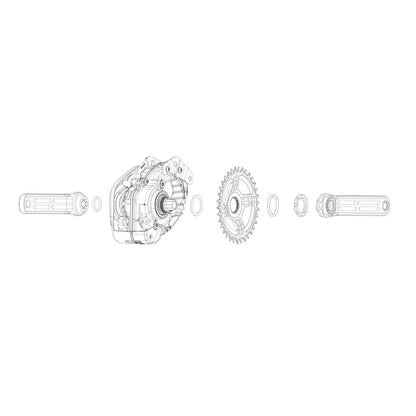 Enkelvoudig Kettingblad ROTOR E-MTB BOSCH Direct Mount