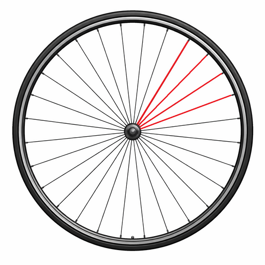 Kit de 4 Rayons CAMPAGNOLO ZONDA Arrière Gauche