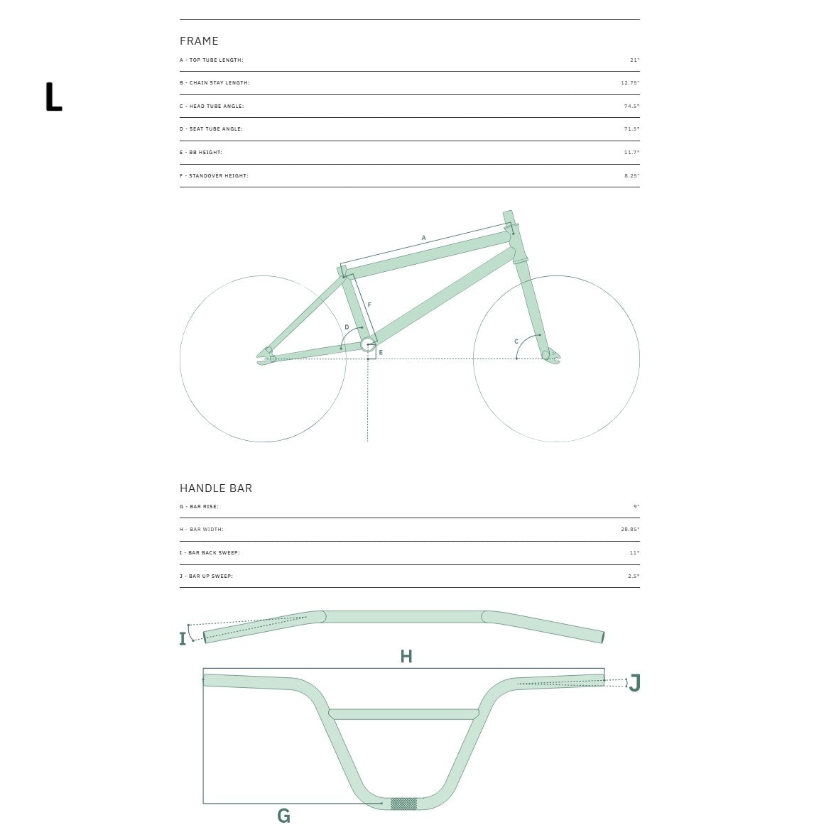 BMX WETHEPEOPLE THRILLSEEKER 20" Turquoise