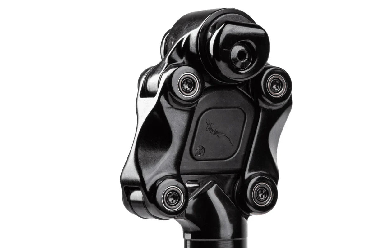 CANE CREEK LT G4 THUDBUSTER SETSCREWCLAMP Geveerde zadelpen - DOOS