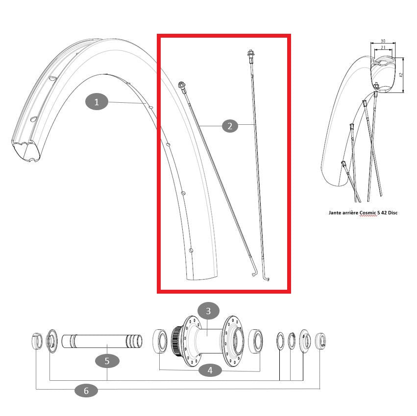 Set van 12 MAVIC COSMIC S42 273mm spaken voor/achter