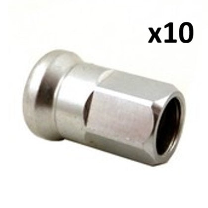 Écrous CAMPAGNOLO pour Rayons de Roues SHAMAL ULTRA C17 (x10)