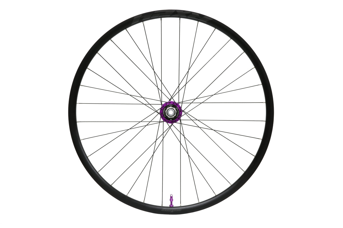 Aluminium HOPE RX24 700C-achterwiel met paarse Pro 5-naaf