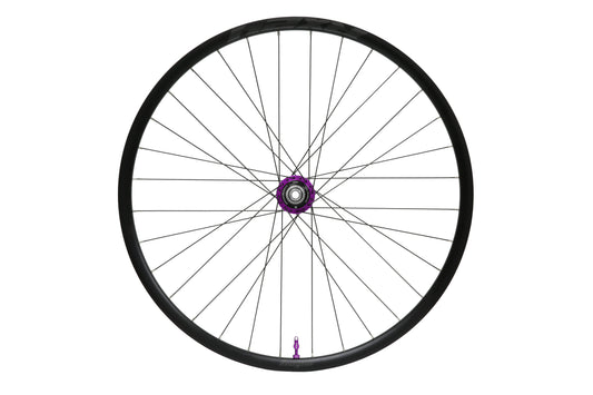 Aluminium HOPE RX24 700C-achterwiel met paarse Pro 5-naaf