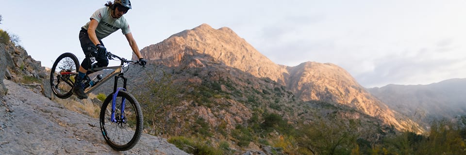 De verschillende kinematica van achtervering op mountainbikes