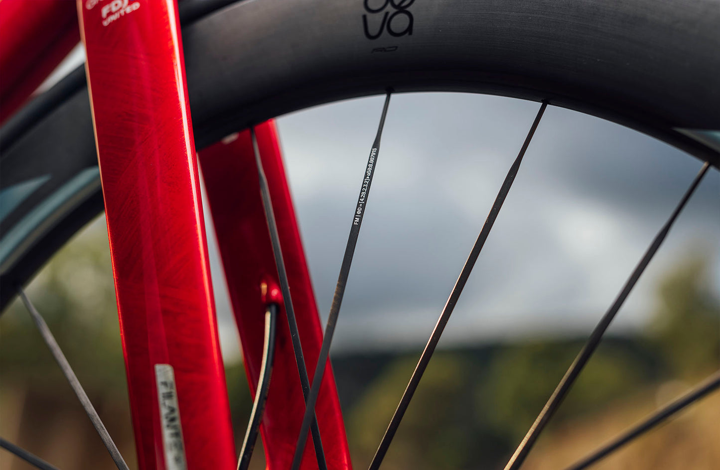 Paar MICHE DEVA RD 52 Tubeless Ready wielen (Center Lock) Zwart