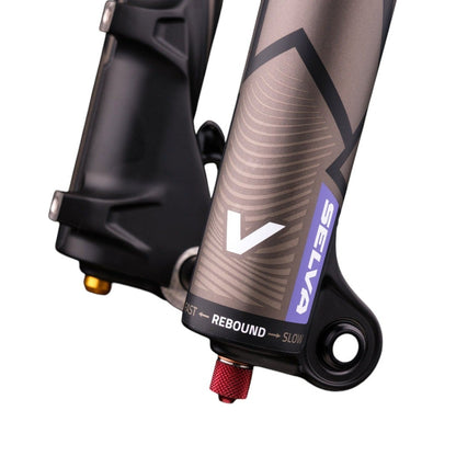 Vork FORMULA SELVA V 29" As 15x110mm Boost Zwart