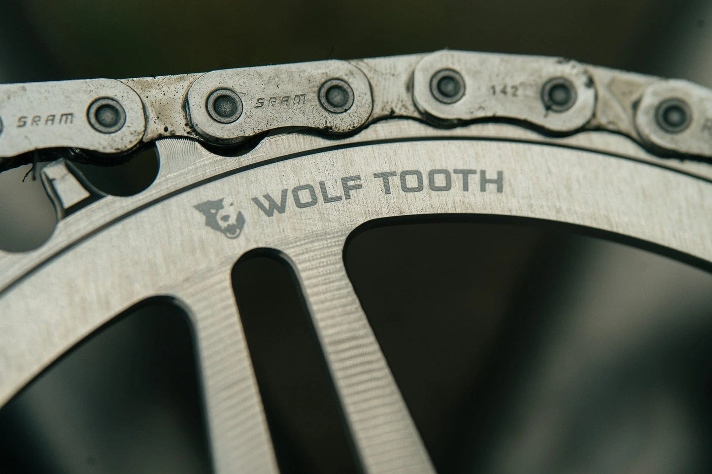 WOLF TOOTH BOOST Direct Mount SRAM Raw Silver Mono kettingblad