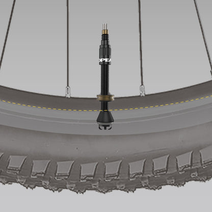 Lot van 2 Tubeless Ventielen TOPEAK TURBOFLOW Zwart